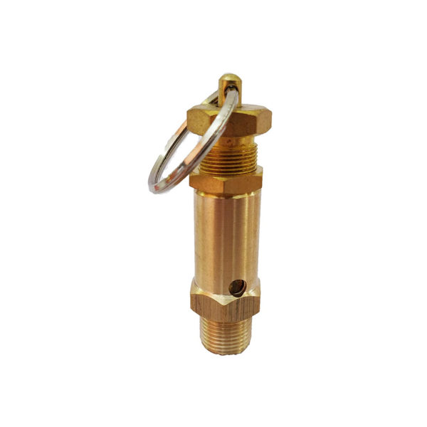 safety valve is the protection of life, property, and the environment